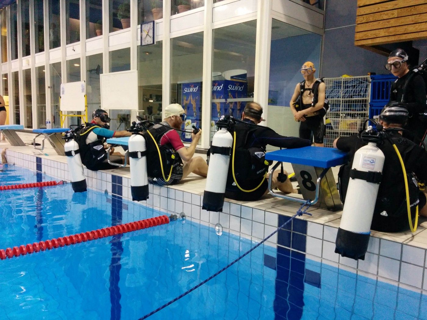Des plongeurs qui s'apprêtent à effectuer une bascule arrière dans la piscine.